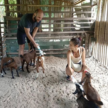 Yaoisland Resort And Farm Ko Yao Esterno foto