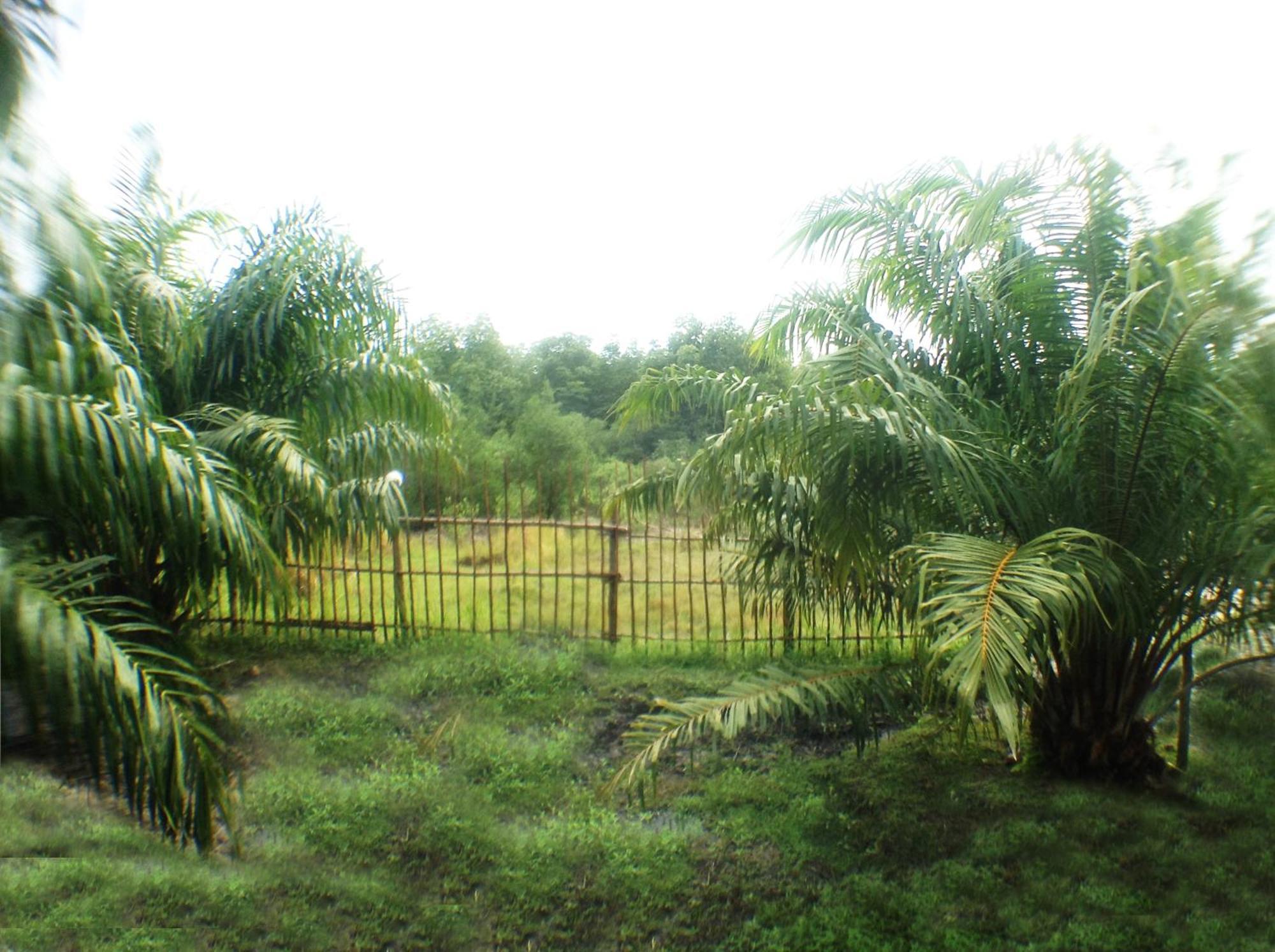 Yaoisland Resort And Farm Ko Yao Esterno foto