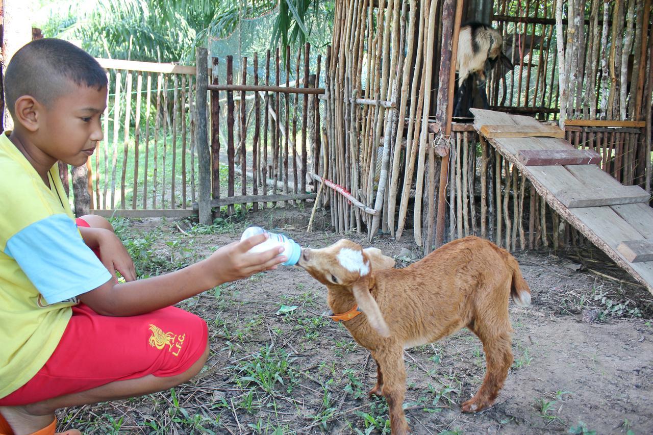 Yaoisland Resort And Farm Ko Yao Esterno foto