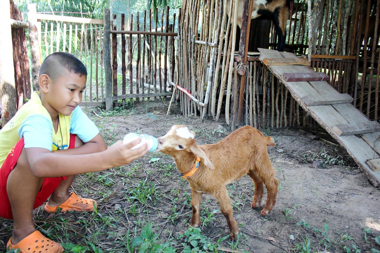 Yaoisland Resort And Farm Ko Yao Esterno foto